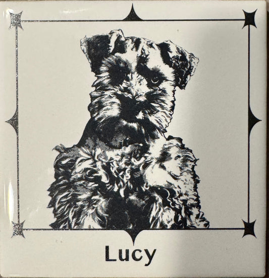 Ceramic Tile 4x4